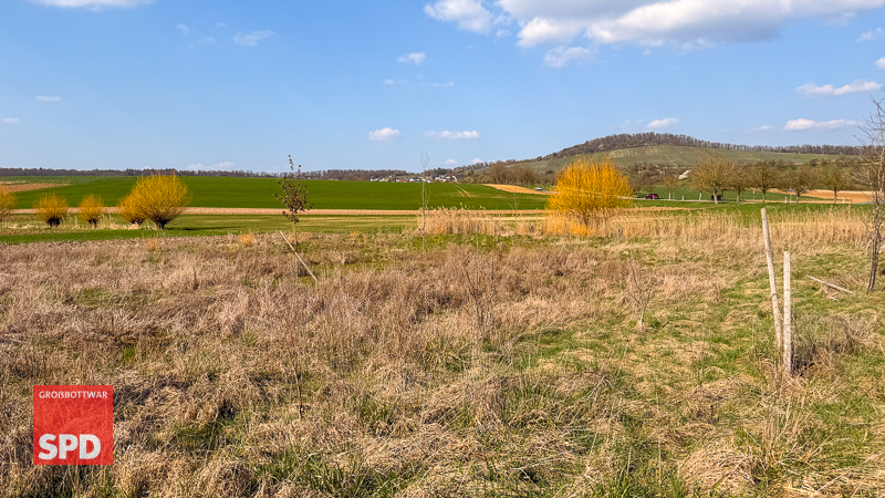 Die vom BUND bepflanzte Fläche am Faulbach bei Winzerhausen ist Teil des Wildkatzenkorridors
